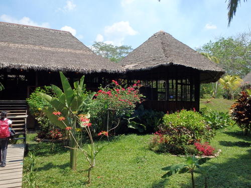 Corto Maltes, Amazonia.